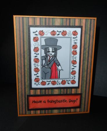 Spook Night Stripe by Anna Stretton