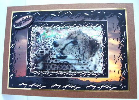 Africa Cheetah Wild Cats Roam by Annatjie van Wyk