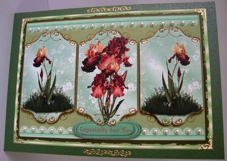 Lovely Bearded Irises on Gilded Plaques by Annatjie van Wyk