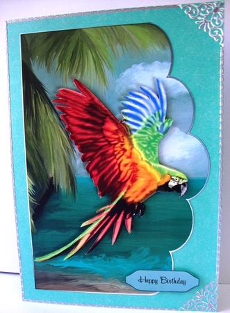 Macaw Parrot Scalloped Edge Card by Annatjie van Wyk