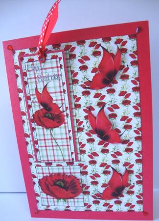 Red Poppy Bookmark Card by Annatjie van Wyk