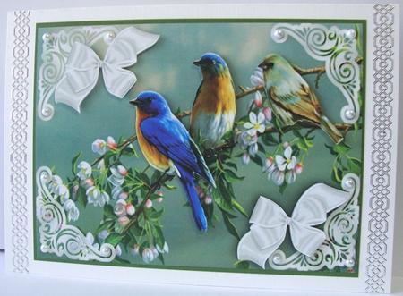 Birds Sitting on a Branch of Pink Blossoms by Annatjie van Wyk