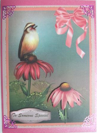 Lovely Bird on a Daisy by Annatjie van Wyk
