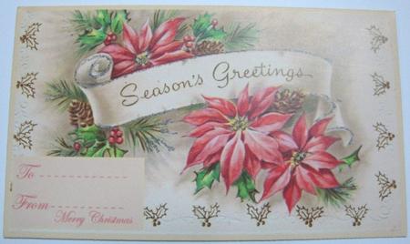 Poinsettia Money Wallet by Annatjie van Wyk