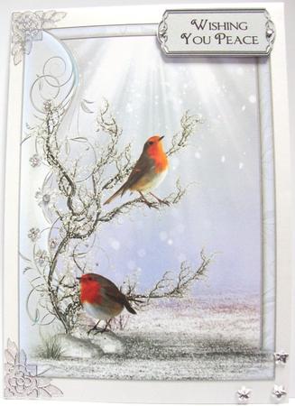 Christmas Robins on a Silver Branch by Annatjie van Wyk