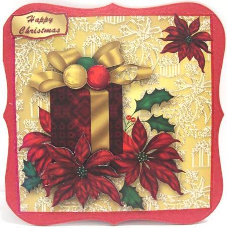 Gift and Poinsettias Christmas Card Front by Annatjie van Wyk