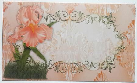 Iris Golden - Money Wallet by Annatjie van Wyk