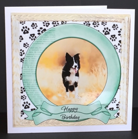 PAWPRINTS ON OUR HEARTS BIRTHDAY 1 by Anne Sutherland