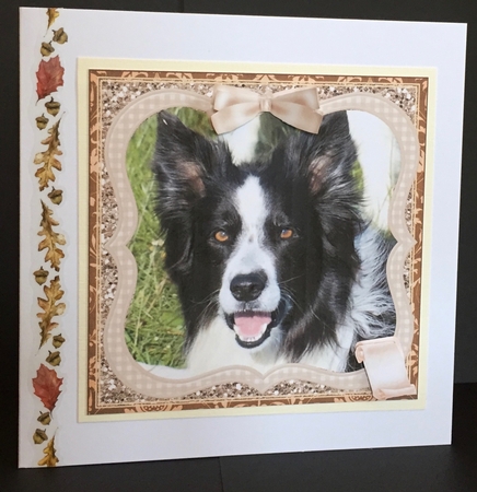 COLLIE DOG MULTI SENTIMENT by Anne Sutherland