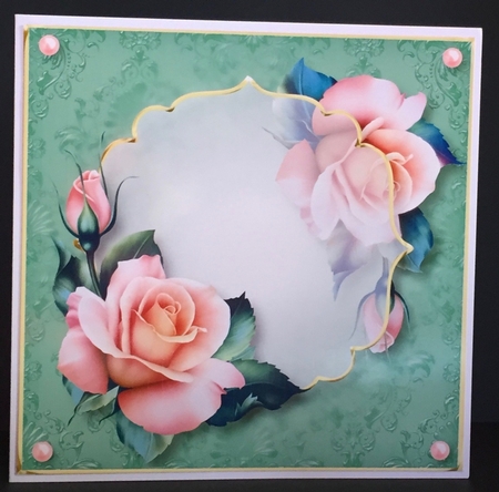 Floral Transparency - Pink Rose 8x8 by Anne Sutherland