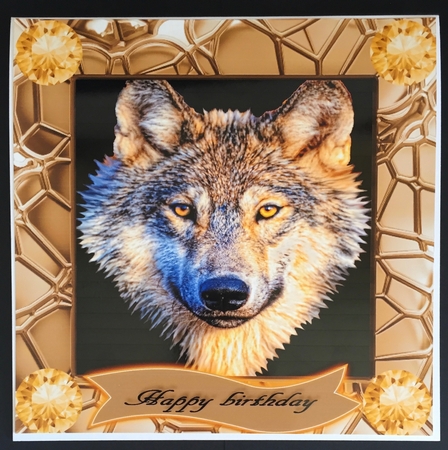 wolf in a frame  by Anne Sutherland