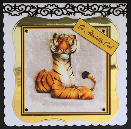 Cool Tiger Birthday by Anne Sutherland