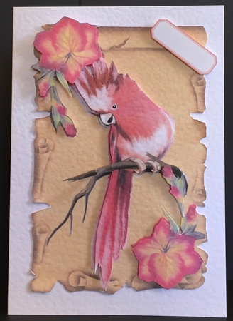 pink tropical bird with flowers on a scroll by Anne Sutherland