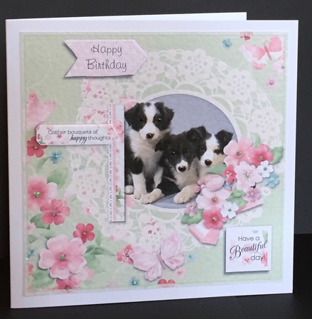 Border Collie Puppies and Flowers by Anne Sutherland