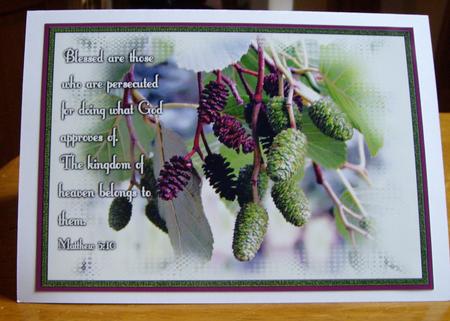 Nature Photo Topper #17 by Anne Sutherland