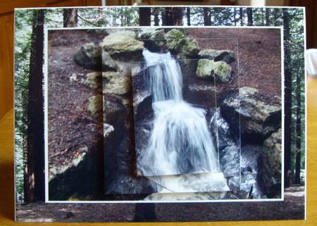 Forrest Waterfall by Anne Sutherland