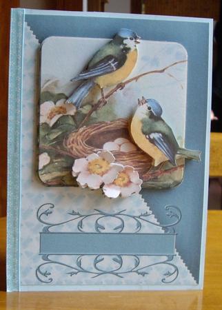 Birdsong Teal Diagonal Card Topper by Anne Sutherland