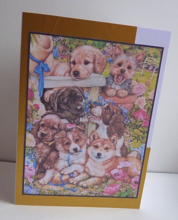 2020 Calendar -  Landscape Overload of cuteness by Anne Jackson