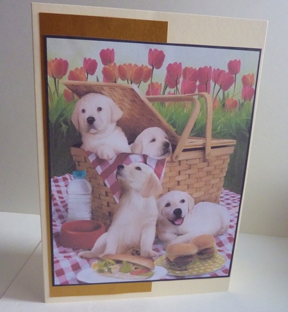 2020 Calendar -  Landscape Picnic stowaways by Anne Jackson