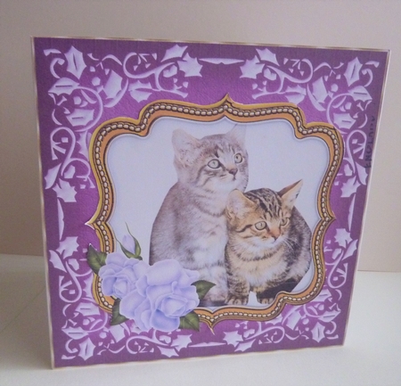 Cat In Floral Rose Frame 7 x 7 Inches No.2 by Anne Jackson