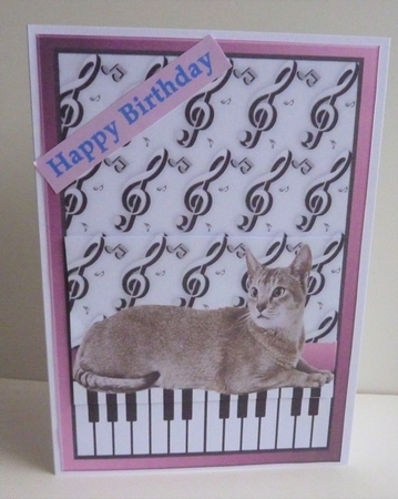 Cat 1 and Piano Keys A5 Size by Anne Jackson