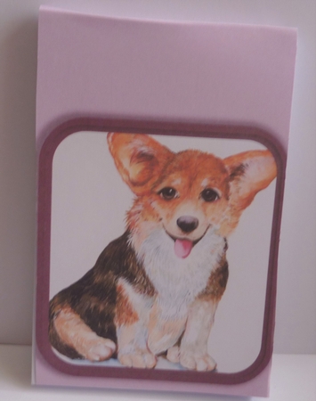 2020 calendar Corgi by Anne Jackson