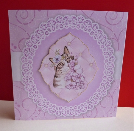 Beautiful Dusky Pink Lace Insert Blank 8x8 by Anne Jackson