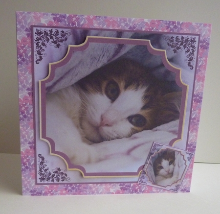 Sweet Little Tabby Cat - 8x8 Mini Kit by Anne Jackson