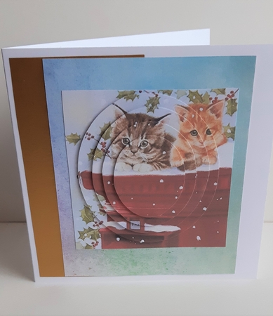 Cute kittens and holly with pillar box oval pyramids by Anne Jackson