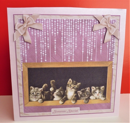 HERE KITTY KITTY ( Cute Kittens ) by Anne Jackson