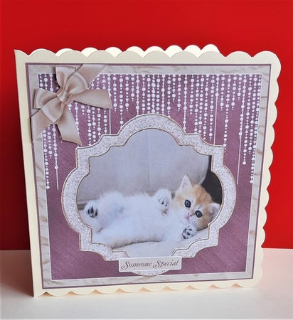 HERE KITTY KITTY ( cutest kitten ever ! ) by Anne Jackson