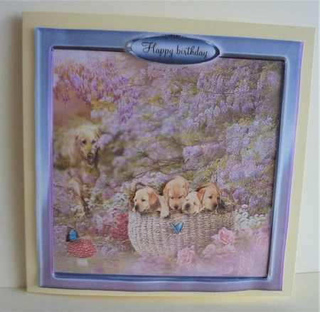 basket of puppies by Anne Jackson