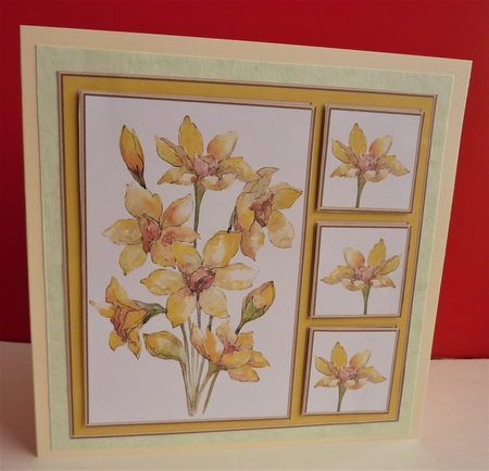 Lovely Watercolor Narcissus Card Six by Anne Jackson