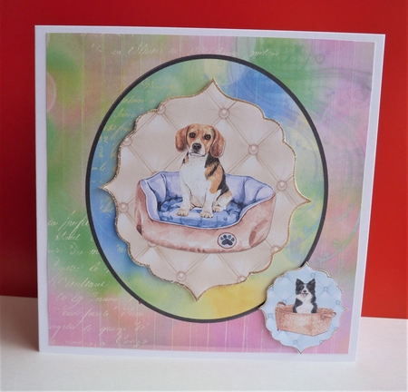 Mixed Script 8x8 Papers  by Anne Jackson
