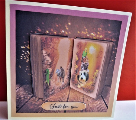 pets galore by Anne Jackson
