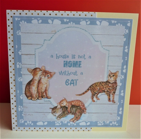 HOUSE NOT A HOME quick card. by Anne Jackson