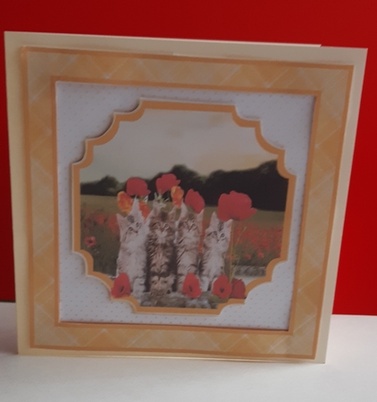 Four Little Kittens - 7x7 Mini Kit by Anne Jackson