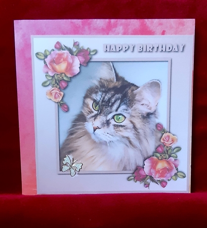Cat Topper 3 by Anne Jackson
