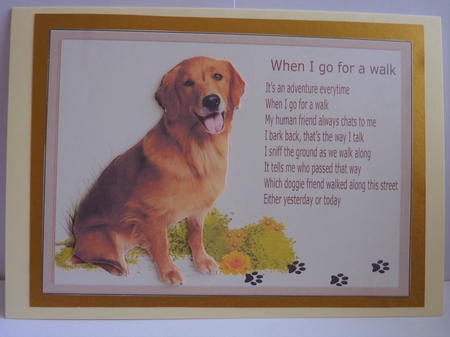 WHEN I GO FOR A WALK Labrador by Anne Jackson