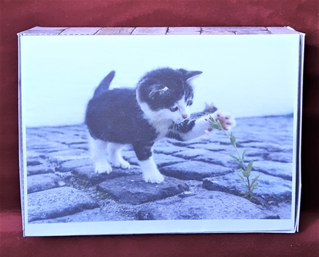 3D Gift or Sweet Box Template. Jigsaw puzzle by Anne Jackson