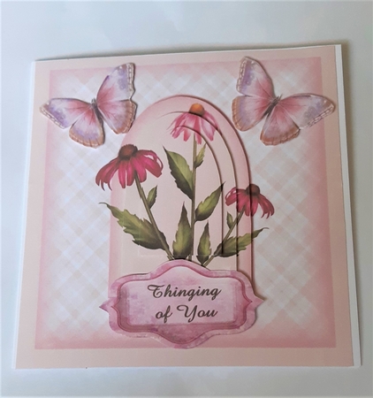 daisy delight by Anne Jackson