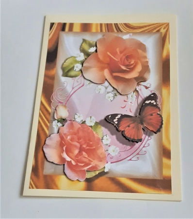 butterflies and roses by Anne Jackson