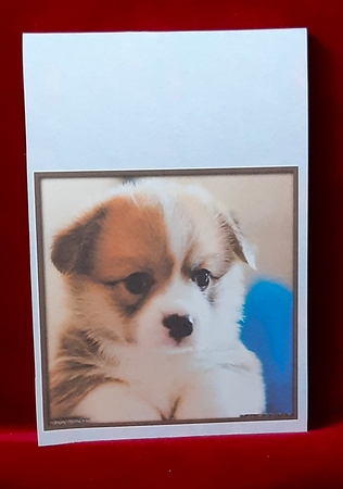 Cute Dog Quick Card 8 by Anne Jackson