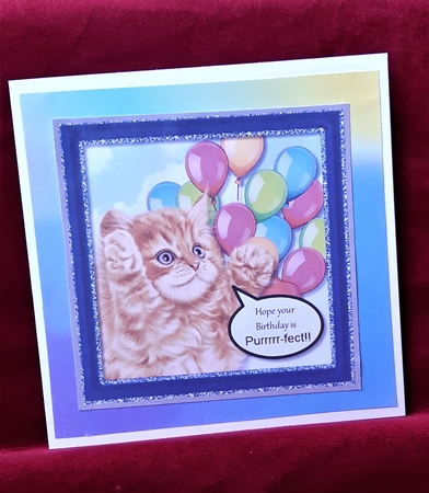 Hope Your Birthday is Purrrr-fect by Anne Jackson