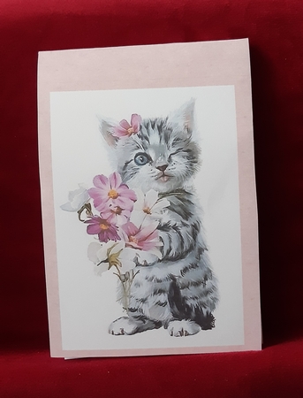 2023 Cat Wink calendar by Anne Jackson