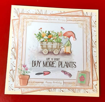 In the garden 5x5ins decoupage Toppers x 8 plus 4 Inserts kit by Anne Jackson