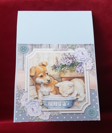 Spring Garden Cats and Dogs 2 by Anne Jackson