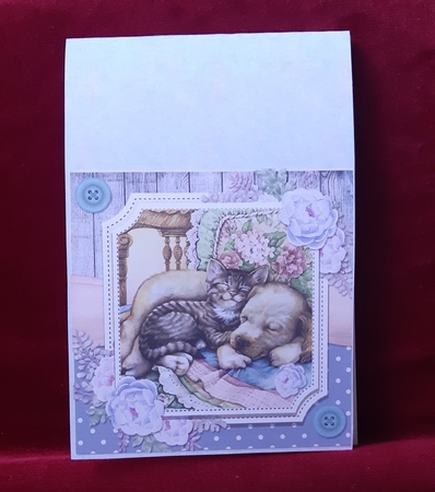Spring Garden Cats and Dogs 3 by Anne Jackson