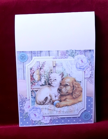 Spring Garden Cats and Dogs 4 by Anne Jackson