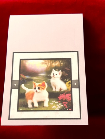 Kittens 1 by Anne Jackson